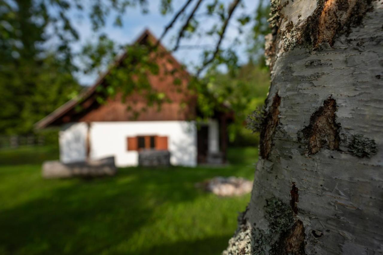Holiday Home Srednja Vas Srednja Vas v Bohinju Dış mekan fotoğraf